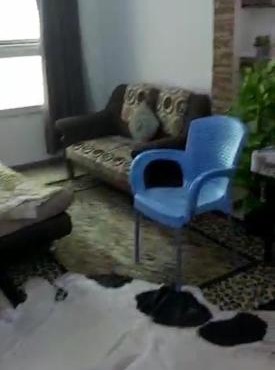 Cozy Apartement for Rent in Sidi Gaber Alexandria