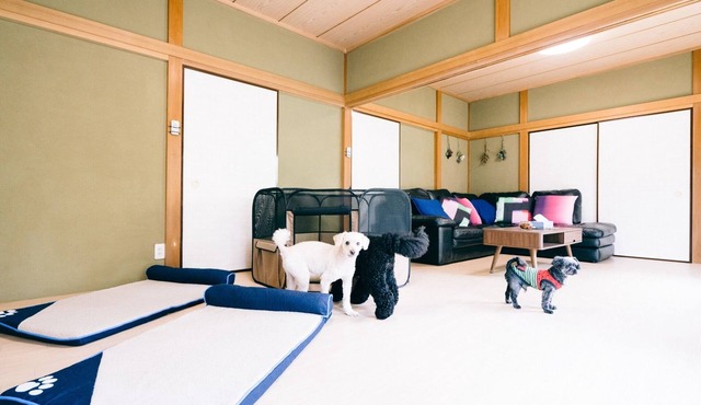Detached private guest house with dog run nonsmo/Sambu-gun Chiba in Sambu-gun