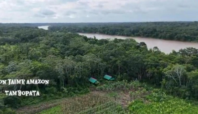 Don Jaime Amazon Lodge-Tambopata