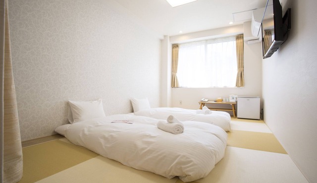 Dotonbori Shinsaibashi Hotel