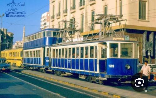 Economic apartment in the Alexandria near of the Beach and Middletown
