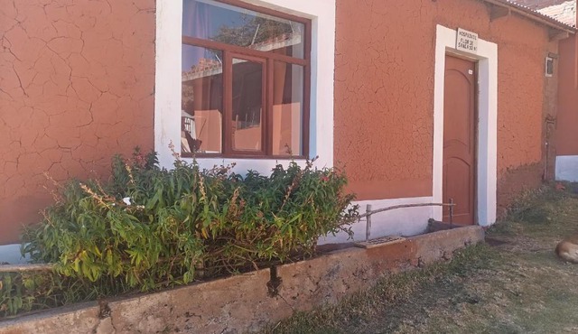 Flor de Sancayo in Puno