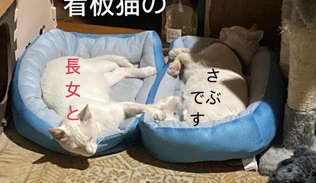 Guest House Salt Beach in Yokkaichi