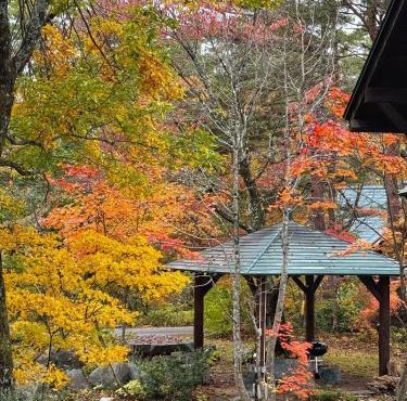Hakuba Riverside Loghouse in Hakuba