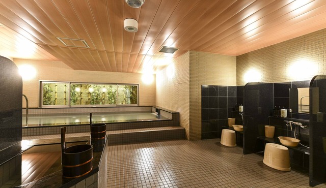 Hida Takayama Washington Hotel Plaza