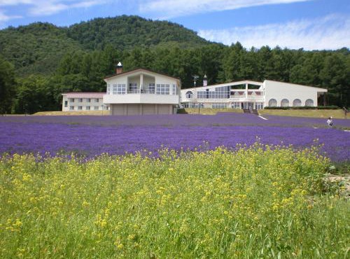 Highland Furano in Furano