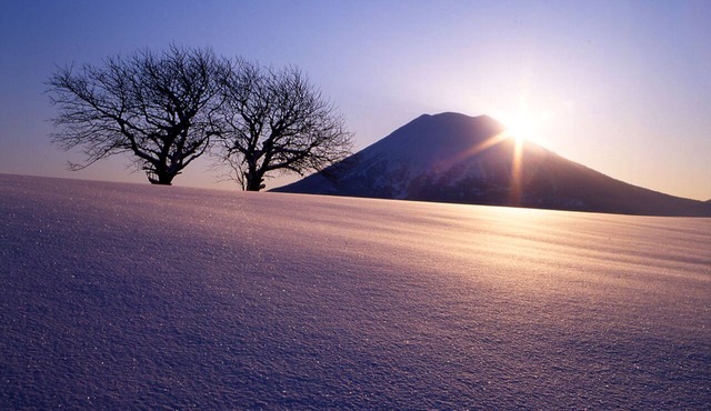 Hotel Kanronomori in Niseko