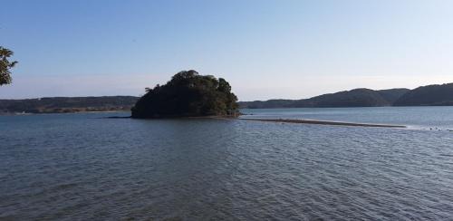 Ikijimaso in Iki