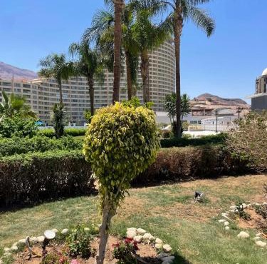 It is a Porto sokhna