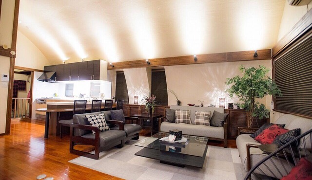 Japanese house renovated in modern style, max. 16 people