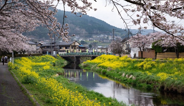 Japanese Onsen Ryokan Yufuin Tabinokura