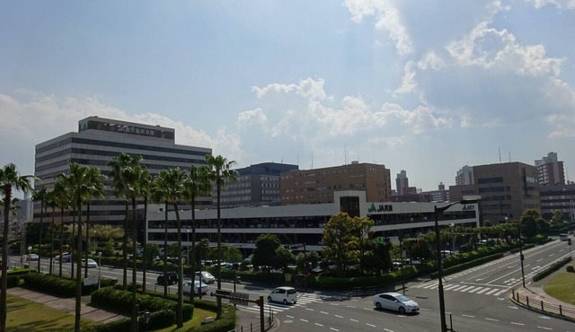 Kagoshima Daiichi Hotel Kamoike