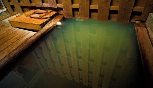 koyado YAMADAYA in Beppu