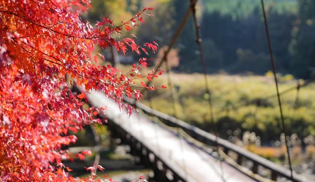 LANDFORM workshop cottage KEIHOKU in Kyoto