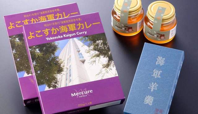 Mercure Yokosuka in Yokosuka