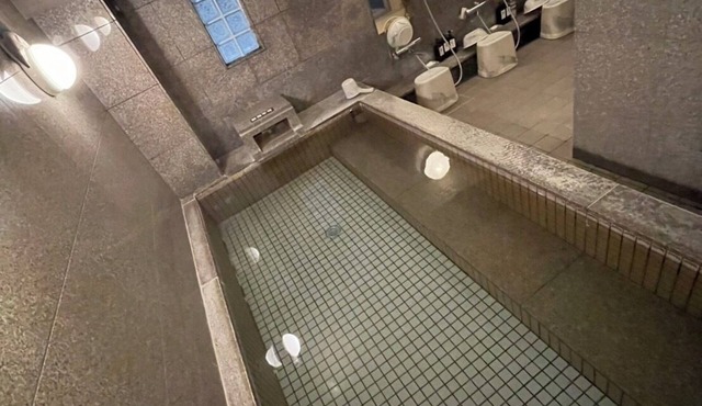 Mito Daiichi Hotel Honkan