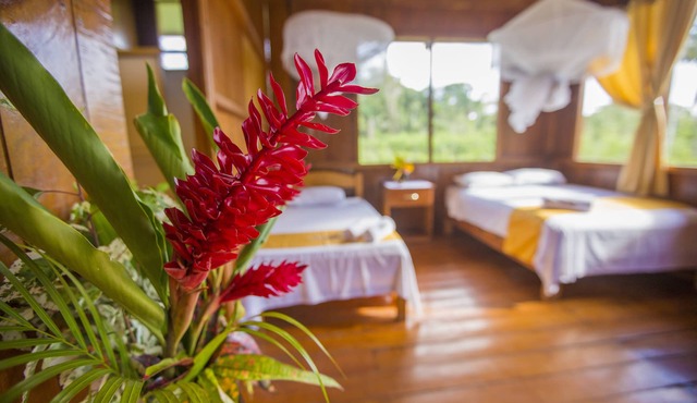 Monte Amazonico Lodge in Tambopata