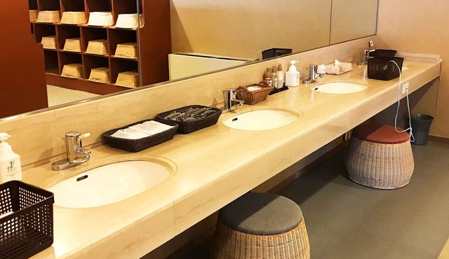 NAGARAGAWA SEIRYU HOTEL in Gifu