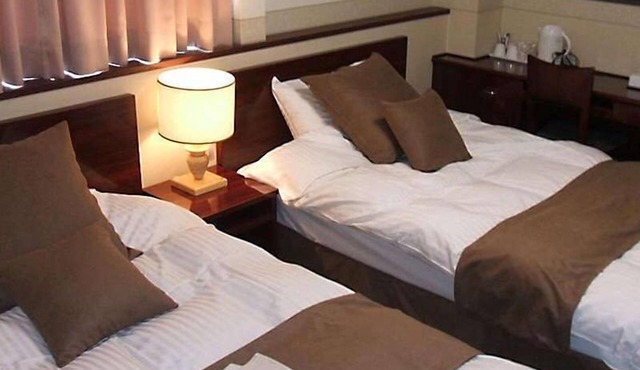 New Business Hotel Alpha in Kurayoshi