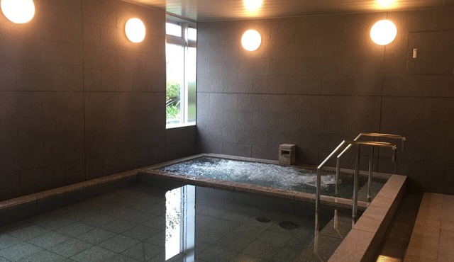 Nippon Seinenkan Hotel in Tokyo