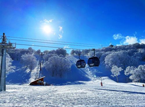 nozawasnow in Nozawa Onsen