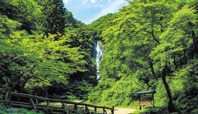 Ooedo Onsen Monogatari Terunoyu in Maniwa