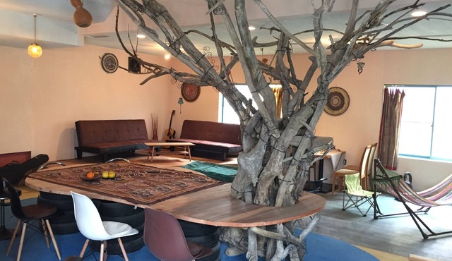 Organic Guesthouse & Cafe OHANA - Hostel
