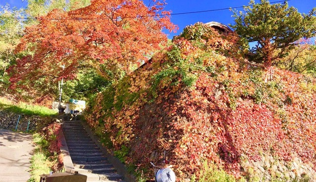 Otarunai Backpackers' Hostel MorinoKi
