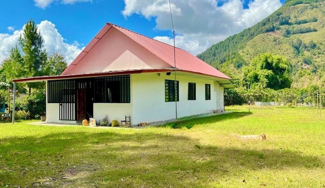 Paradise House in the Forest with 3 Bedrooms