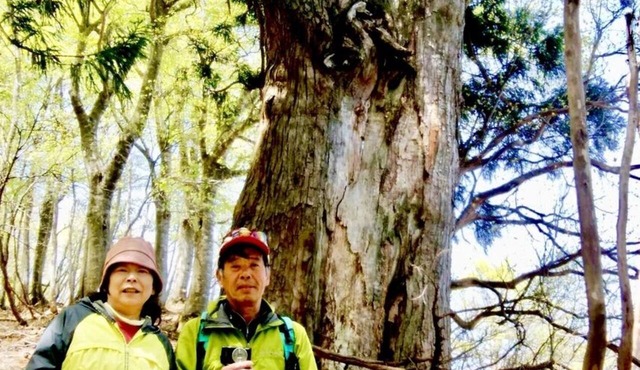 Pension Mount Cook in Toyooka