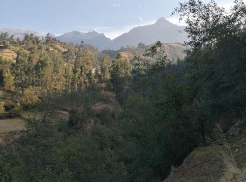 Pitec Hostel Lodge in Huaraz