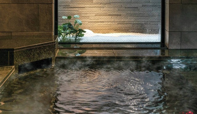 Premier Nagoya Natural Hot Spring Sakura-dori Exit