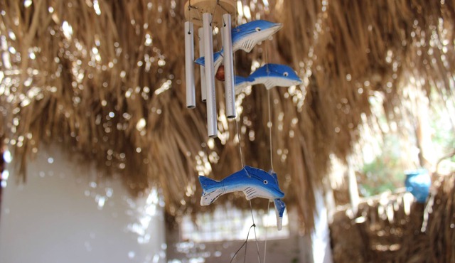 Rayhana Guest House