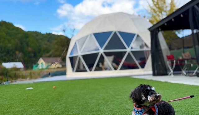 Room only Small dogs allowed Bonus included /Sanda City Hyōgo