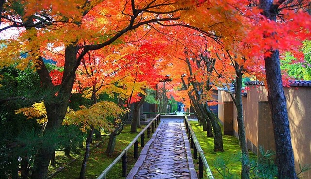 Ryokan Nenrinbo in Kyoto