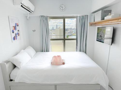 SC Hotel Kameari #1110 - Newly Renovated High Floor City View 2min to Mall 5min to Station Disney Access in Tokyo