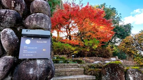 Serene Hill Retreat in Nakatsugawa