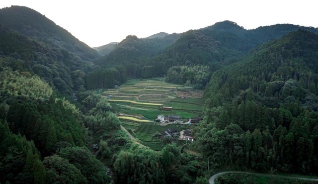 Sky Tea House-Yame Tea Experience in Yame