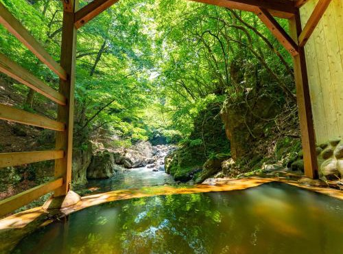 Tabist Shiobaraonsen Kashiwaya Ryokan