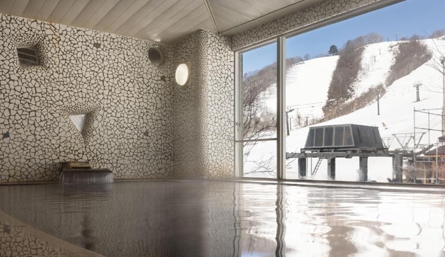 The Alps Hotel Hakuba in Otari