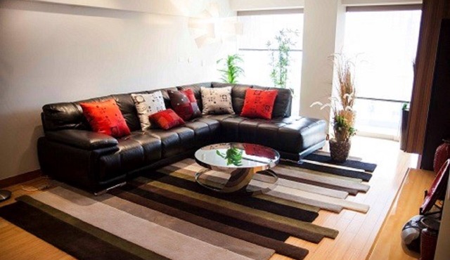 Very Spacious 3 Bedroom Apartment in San Isidro