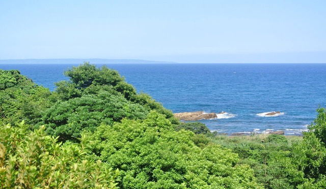 Yakushima Green Hotel