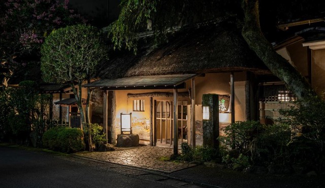 Yamagaso in Hakone
