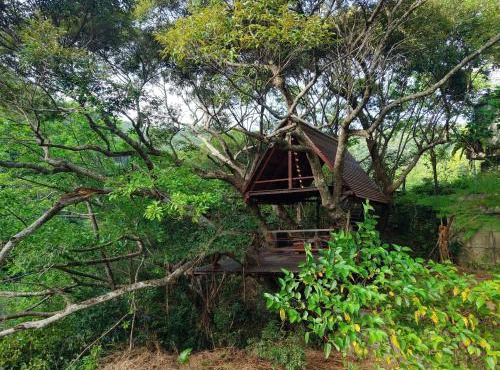 Yambaru Wild Treehouse Kidzy