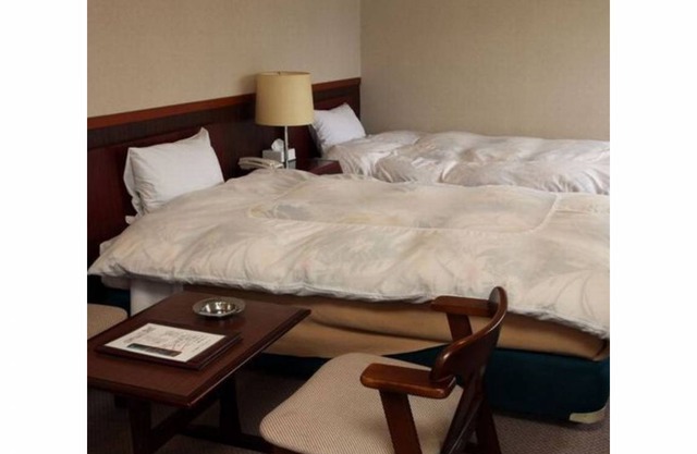 Akisawa Hotel in 6 Saiwaicho