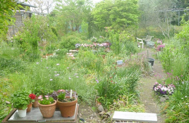 Pension Flora 