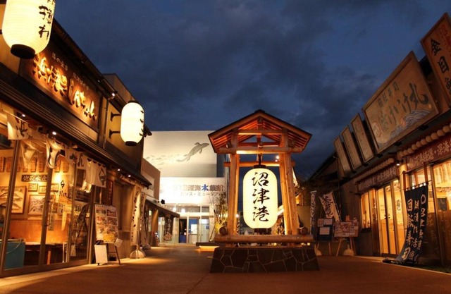 Minato Oasis Numazu Stay 