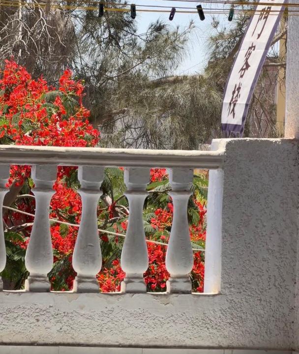 Marsa Matruh Hostel | 龙门客栈青年旅舍