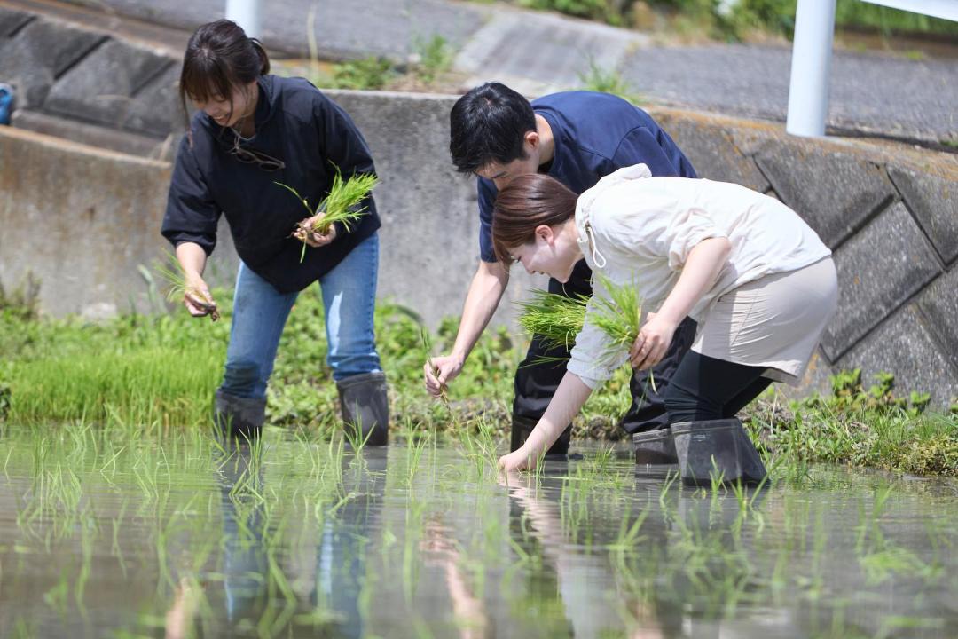 Hayama House | わたや Roopt葉山上山口 棚田散策 体験 地元食材を楽しむ最新設備の古民家ヴィラ BBQあり