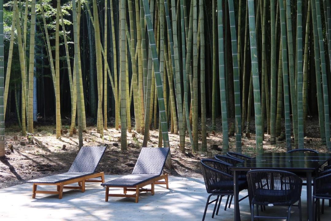 Katsuura House | and FOREST Katsuura Take no Hanare - Vacation STAY 91561v